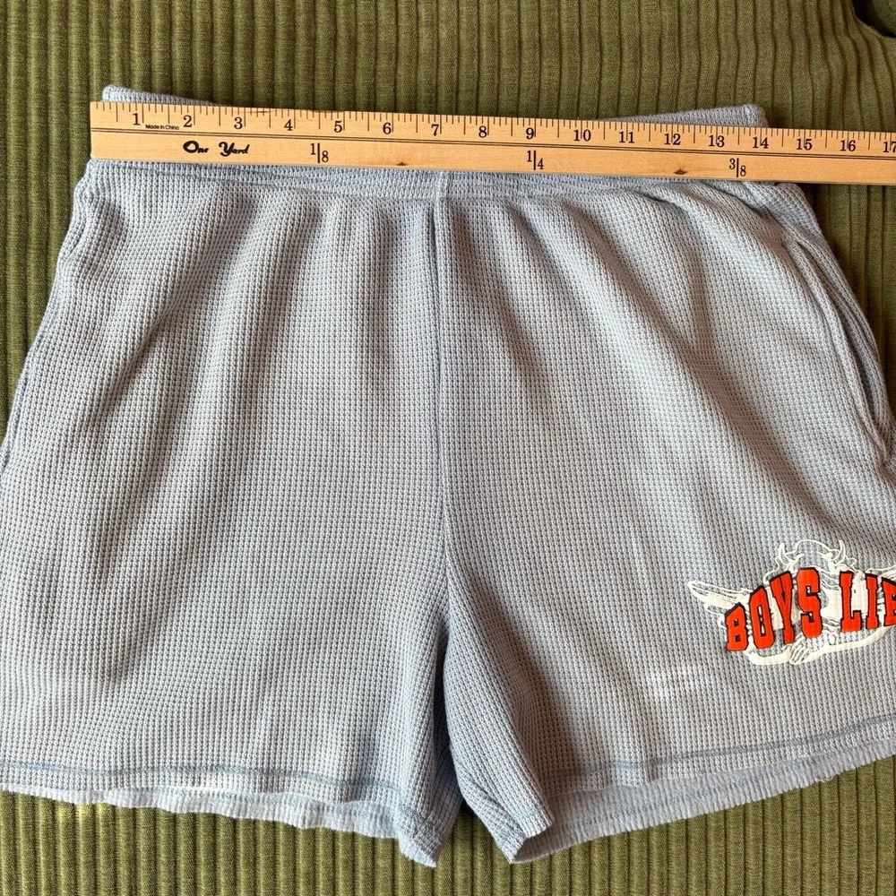 SOLD NWT BOYS LIE Fool Me Once Francis Waffle Knit Shorts Blue Sz M - Picture 7 of 12